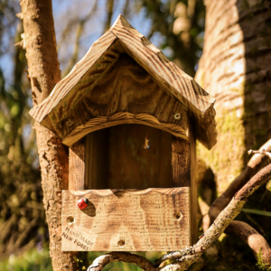 Bee House Open Fronted