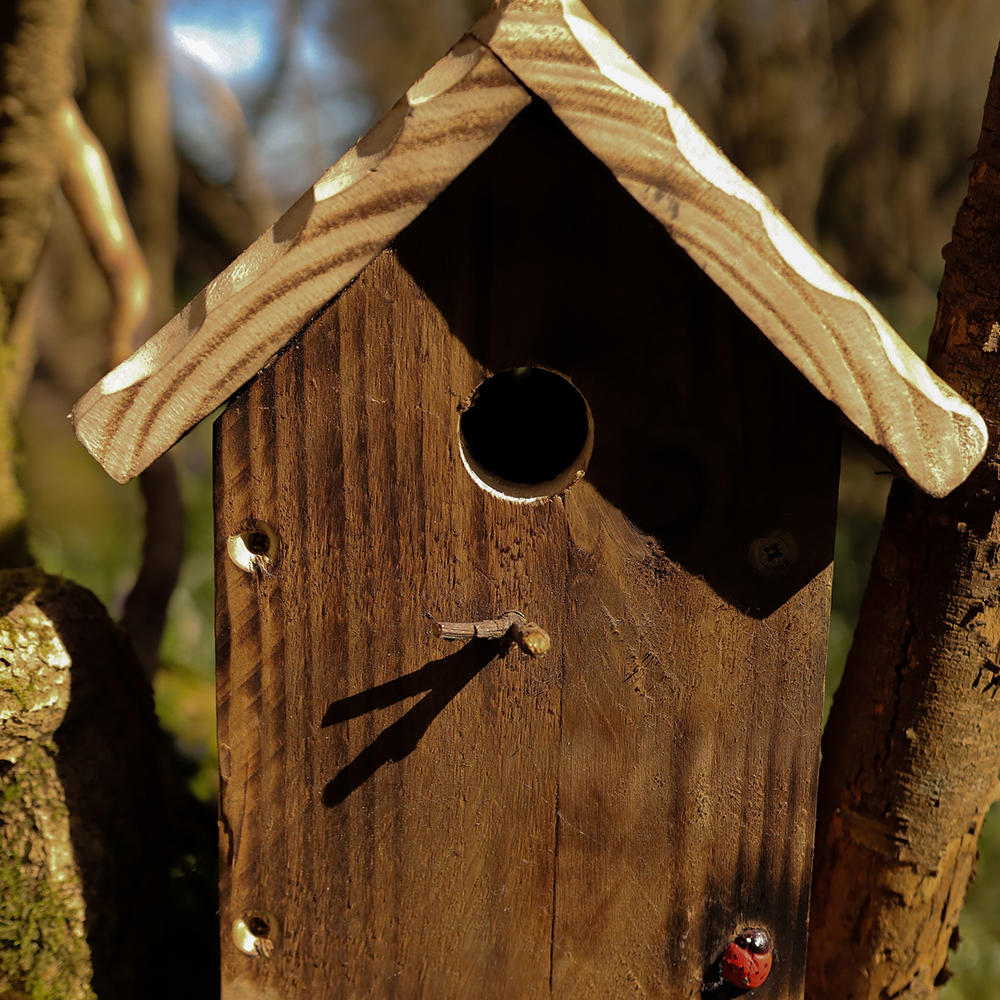 Bee House Closed Fronted