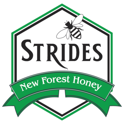 logo logo